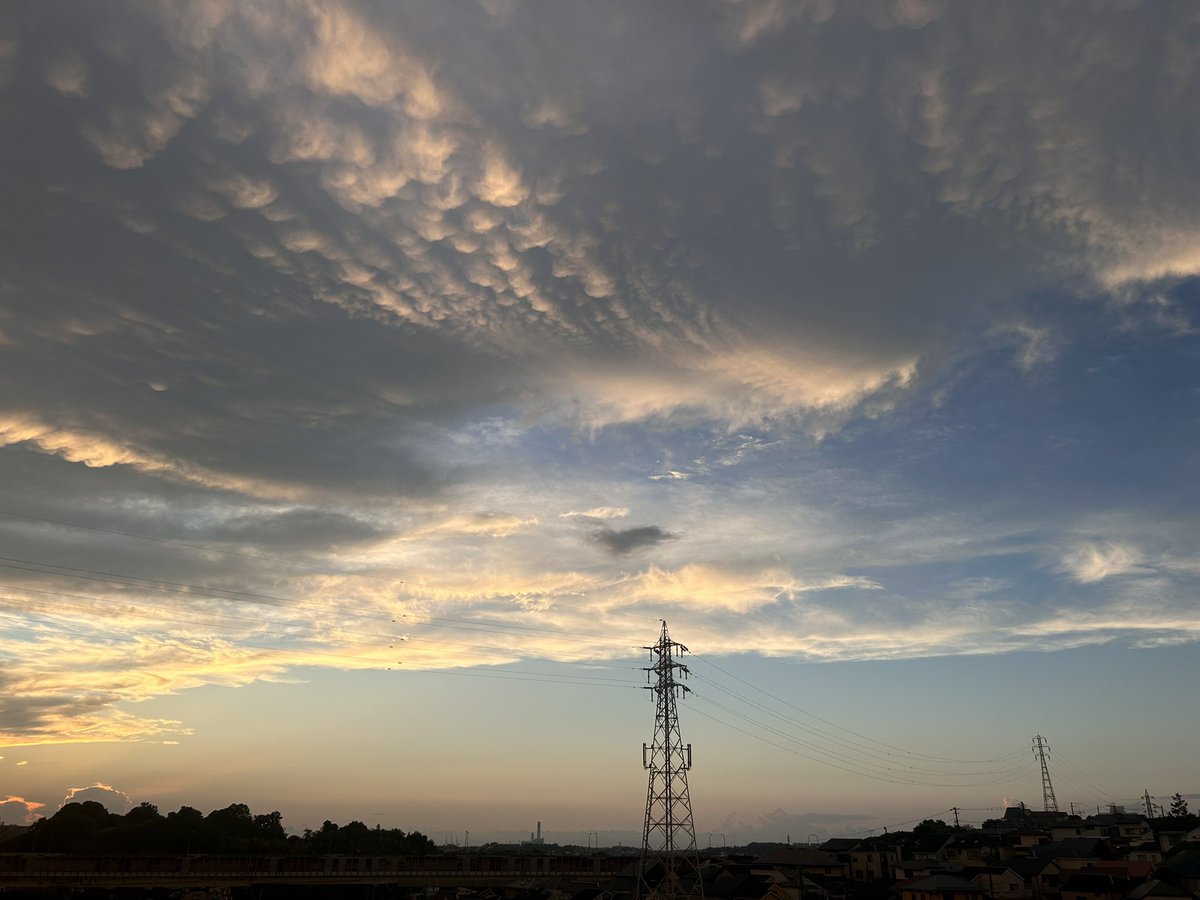 鯨のお腹みたいな空…