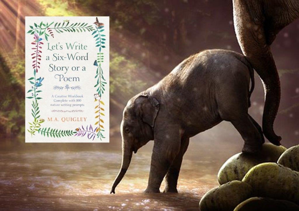 ‘I wasn’t sure what to expect from this book, but honestly? It feels like that one friend who gently nudges you to try something new without making a big deal about it. M.A. Quigley creates such a chill and judgment-free vibe that even if you’re completely stuck or nervous about