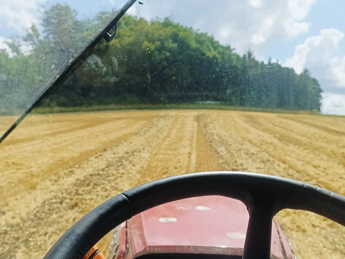 Irish Grain Growers tweet media