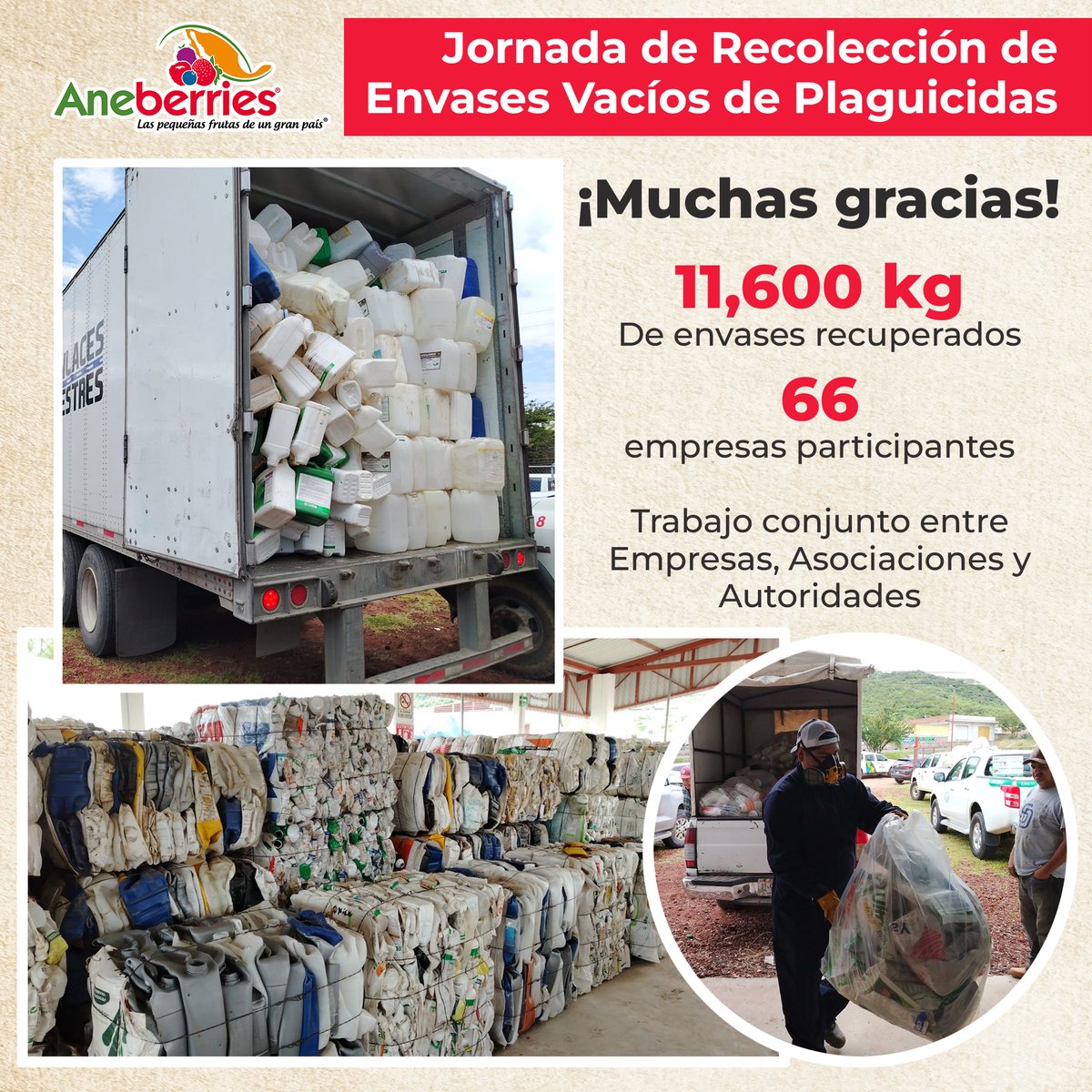 🍓🫐 Estamos orgullosos de compartir este esfuerzo de todos por hacer del sector agrícola mexicano una industria más verde ♻️ 
<a href="/UMFFAAC/">Fabricantes y Formuladores de Agroquímicos A.C.</a>  <a href="/SaderJalisco/">SADER Jalisco</a>  <a href="/COFEPRIS/">COFEPRIS</a>  <a href="/AsicaJalisco/">ASICAJalisco</a> 

📈 Mira aquí el informe completo: mailchi.mp/c77e4344aa2c/j…]