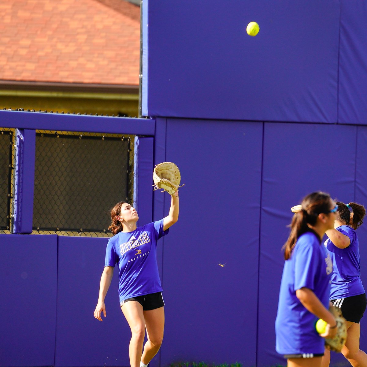 Javelina Softball tweet media