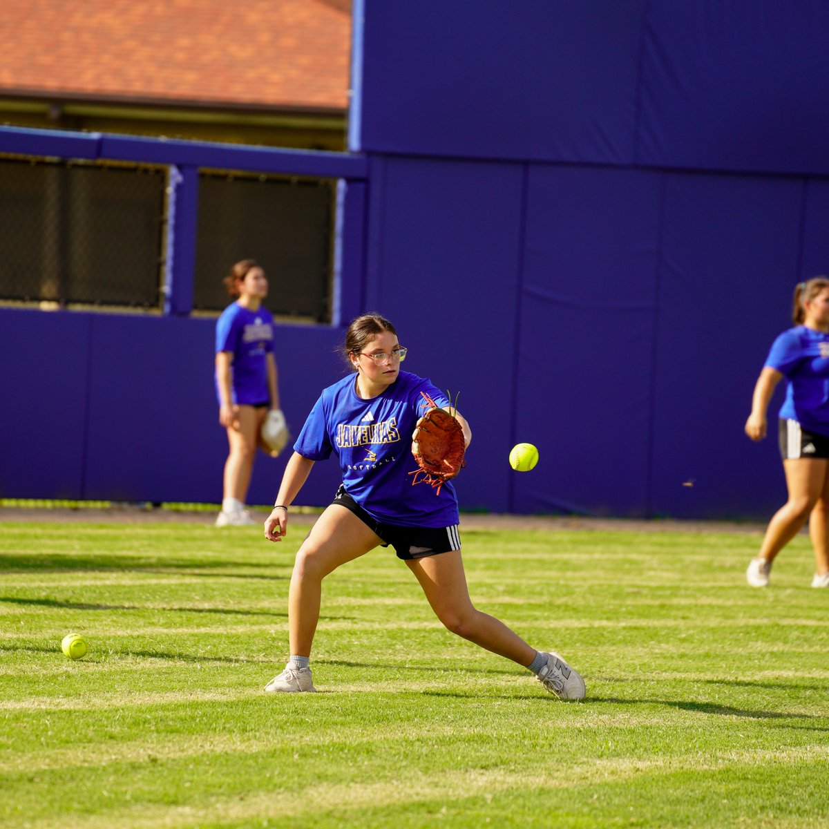 Javelina Softball tweet media