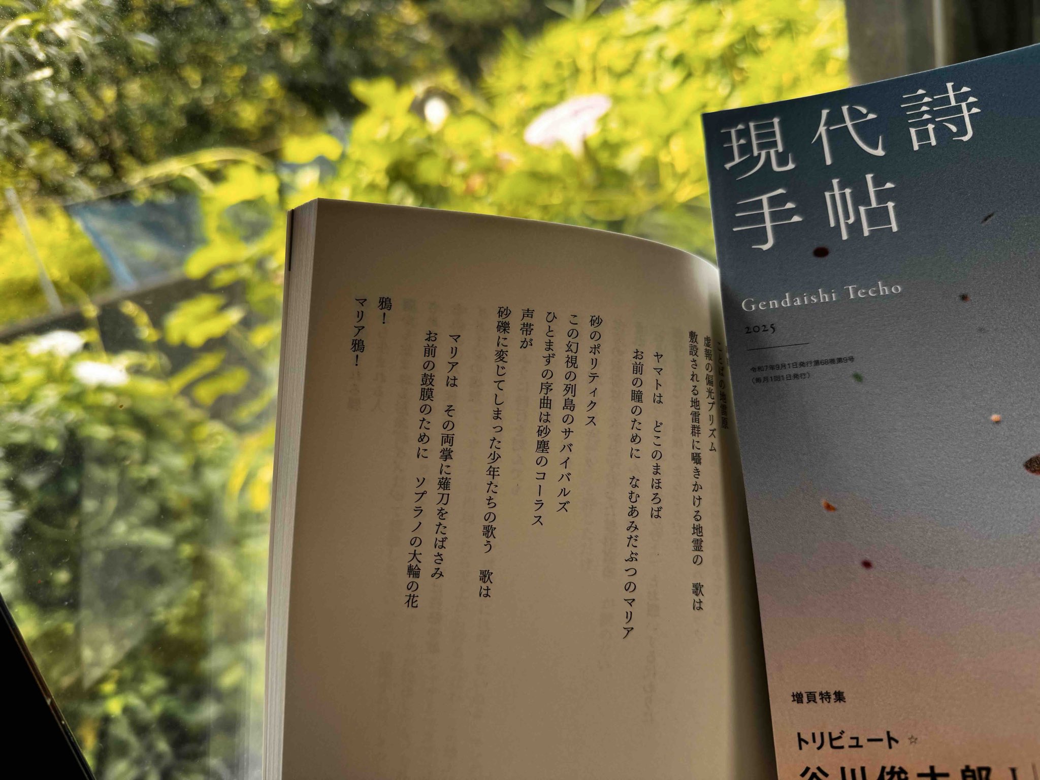 【真作】掛軸　詩と墨の調和　自由詩書　墨の余韻漂う一幅　現代詩書　S133 Xu Qian (1871-1940), Calligraphy in Caoshu, ink on paper