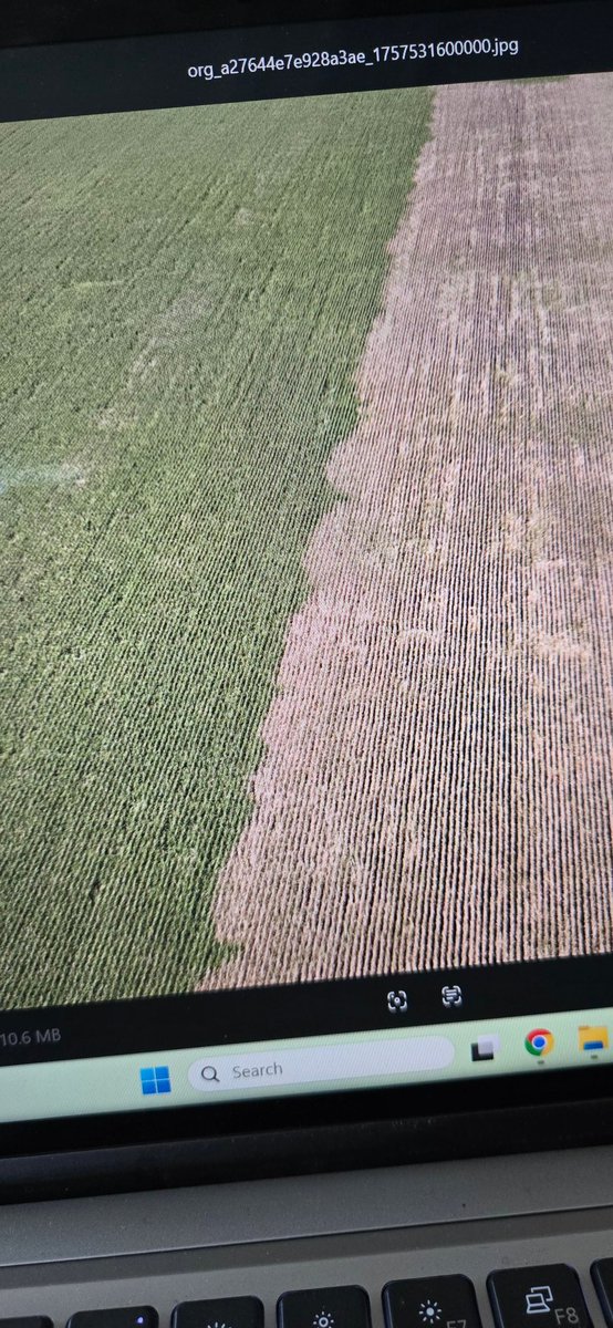 Brian Hess tweet media