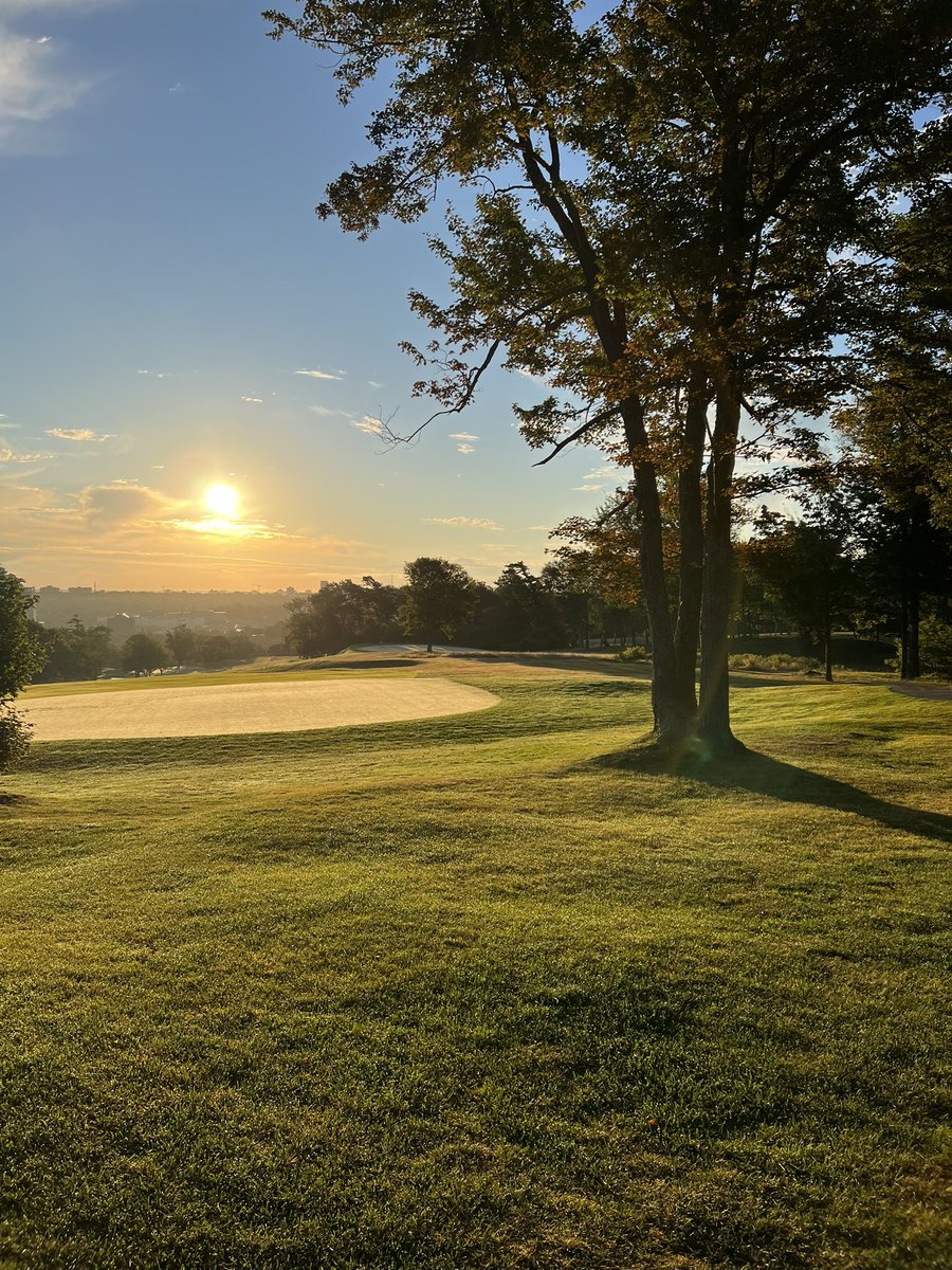 Keeps getting better every day