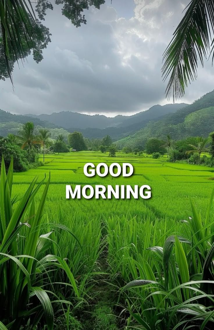 Faisal Meer (@faisalmeer2020) on Twitter photo 