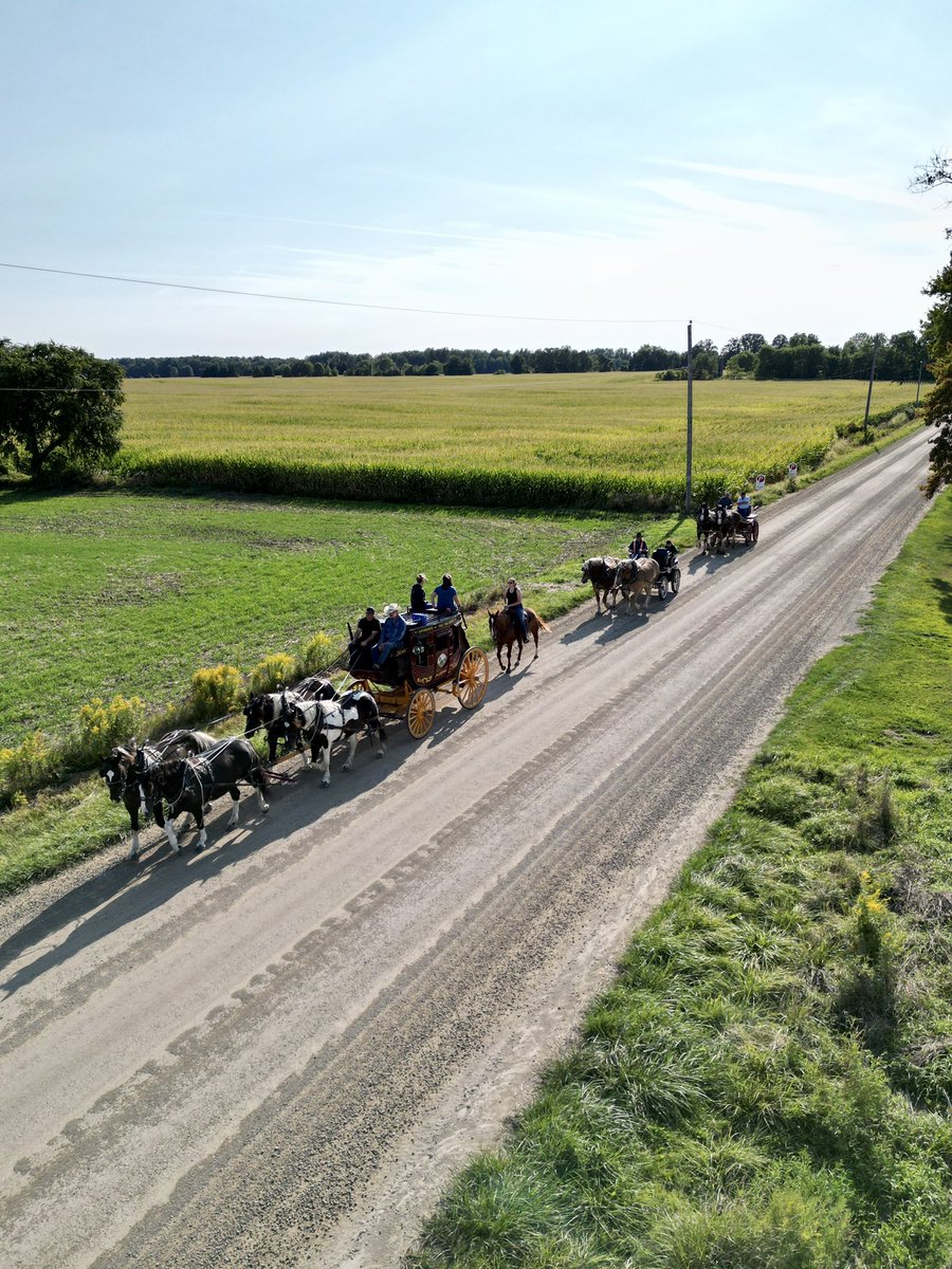 Virginia Janssen tweet media