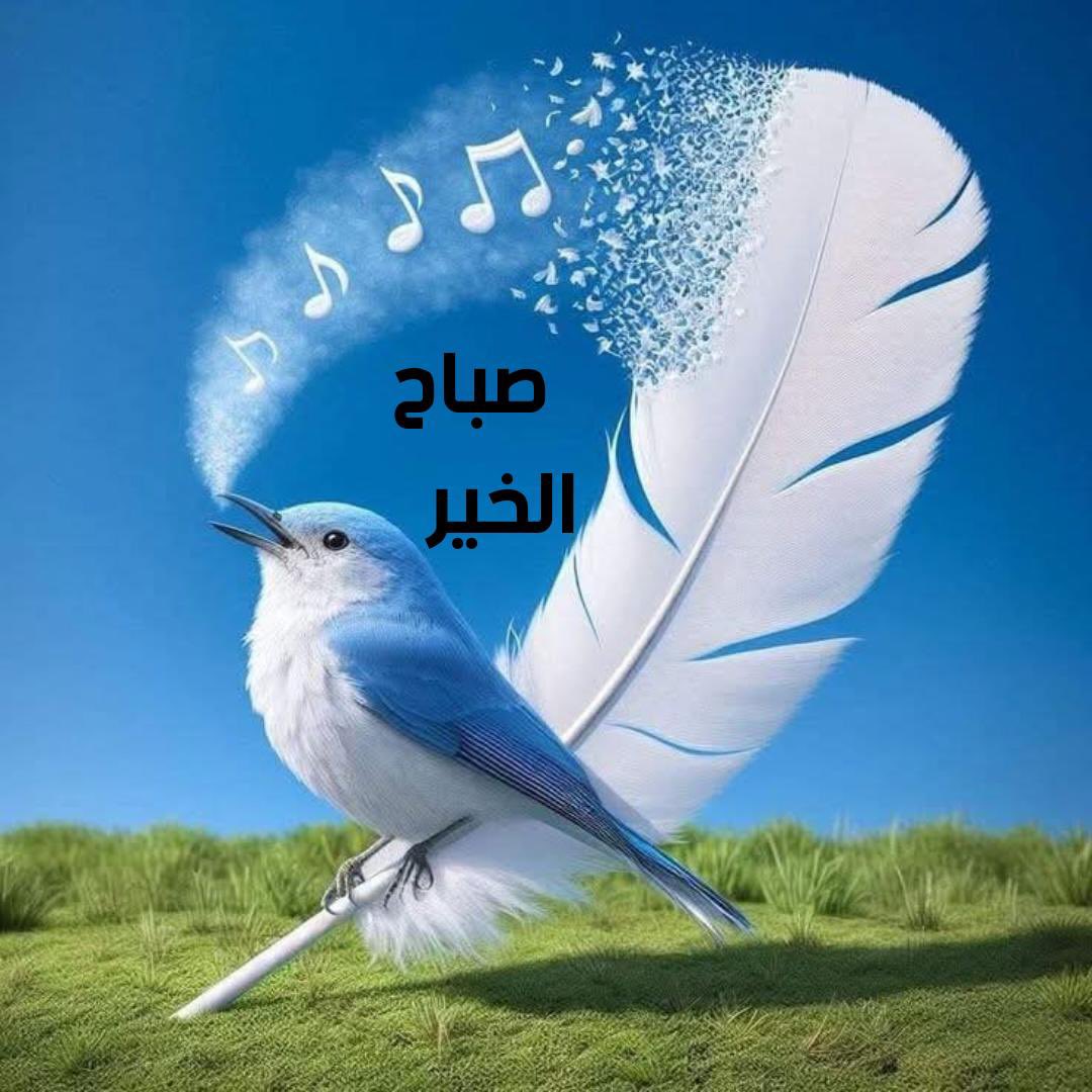💕عبير 🥀 tweet media