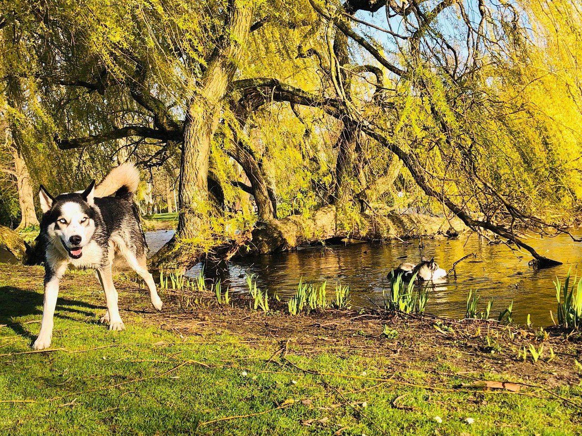 Senti 🪄 tweet media