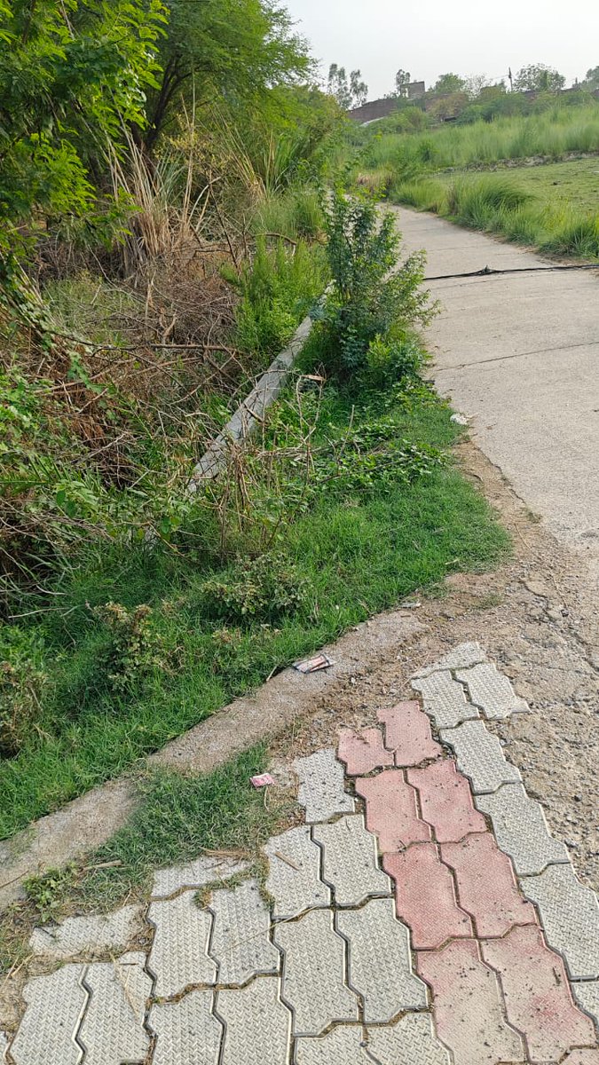 पत्रकार नितिन मिश्र (@nitinkmrmishra) on Twitter photo नरवल तहसील के साढ़ विद्युत उपकेंद्र गौरी ककरा फीडर के गंभीरपुर गाँव मे 22 मई को आँधी आई थी तब से ये पोल टूटा पड़ा है कई बार इसकी शिकायत s d o और jee से की गई लेकिन आज तक ये सही नहीं हुआ। <a href="/UPGovt/">Government of UP</a> @aksharmabharat <a href="/DSBhole/">Devendra Singh Bhole</a> <a href="/UPPCLLKO/">UPPCL</a> <a href="/dvvnlhq/">Dakshinanchal Vidyut Vitran Nigam Limited</a> <a href="/dvvnlagra/">DVVNL AGRA</a> नरवल तहसील के साढ़ विद्युत उपकेंद्र गौरी ककरा फीडर के गंभीरपुर गाँव मे 22 मई को आँधी आई थी तब से ये पोल टूटा पड़ा है कई बार इसकी शिकायत s d o और jee से की गई लेकिन आज तक ये सही नहीं हुआ। <a href="/UPGovt/">Government of UP</a> @aksharmabharat <a href="/DSBhole/">Devendra Singh Bhole</a> <a href="/UPPCLLKO/">UPPCL</a> <a href="/dvvnlhq/">Dakshinanchal Vidyut Vitran Nigam Limited</a> <a href="/dvvnlagra/">DVVNL AGRA</a>