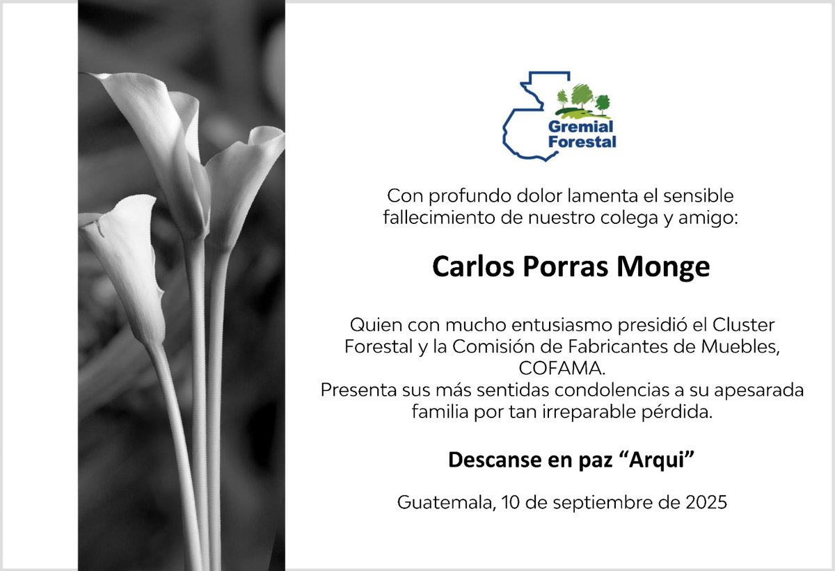 Gremial Forestal (@gremialforestal) on Twitter photo 