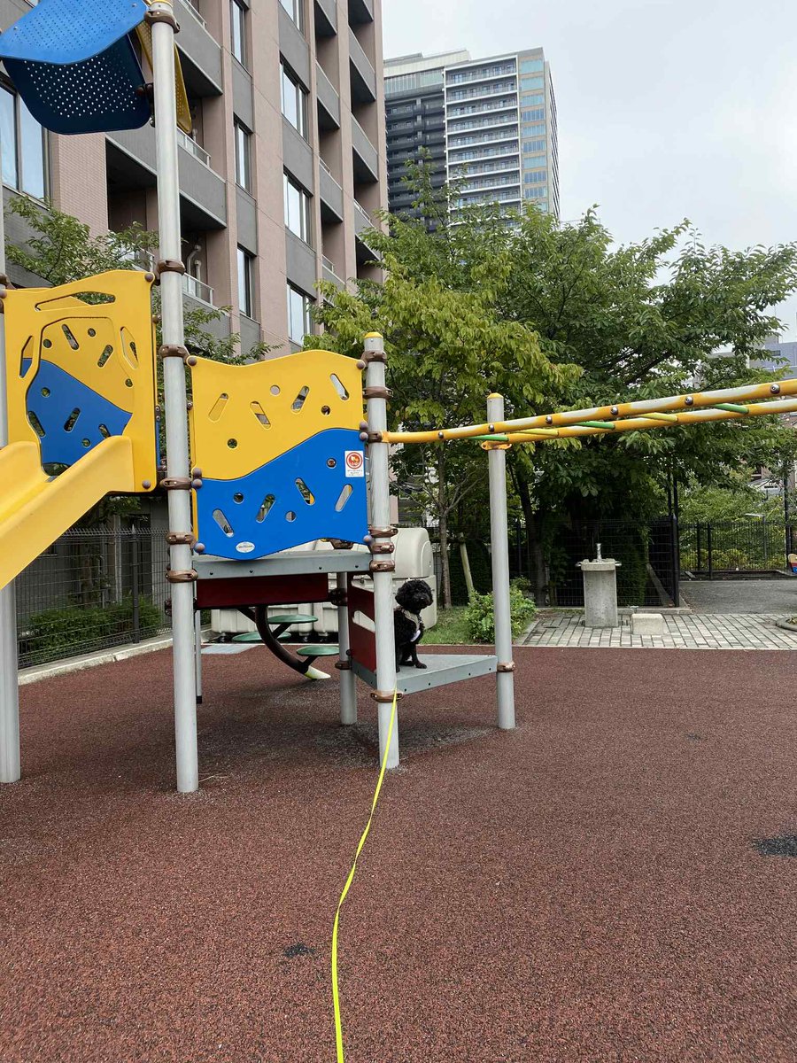 公園大好きなのは

きっと、
みんなの楽しいが
残ってるんだね。