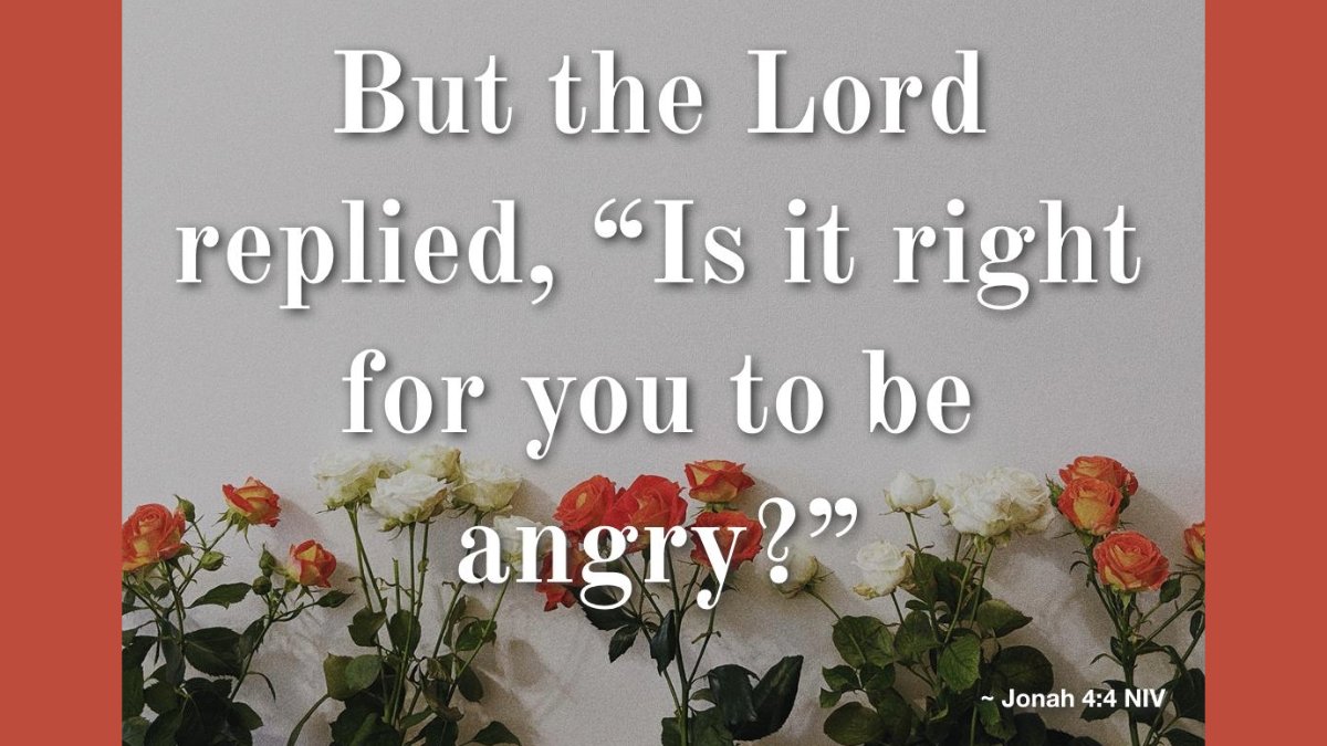 DarrellKoop's tweet image. 