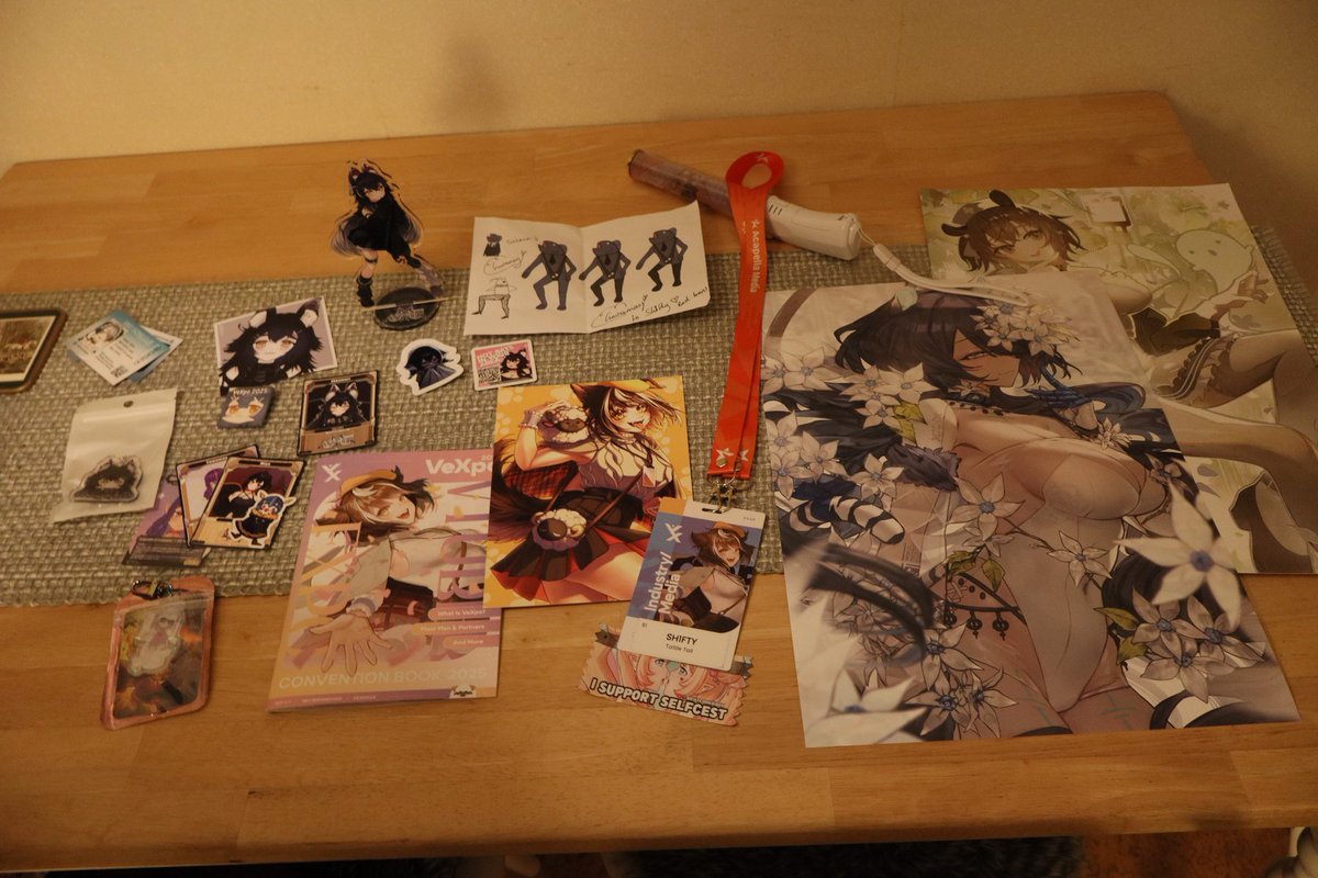 Sh1fty42's tweet image. I was expecting to buy alot more this year given the sheer amount of amazing stuff, but was mostly busy taking photos and talking to friends and industry people. #VeXpo2025 #vexpomori