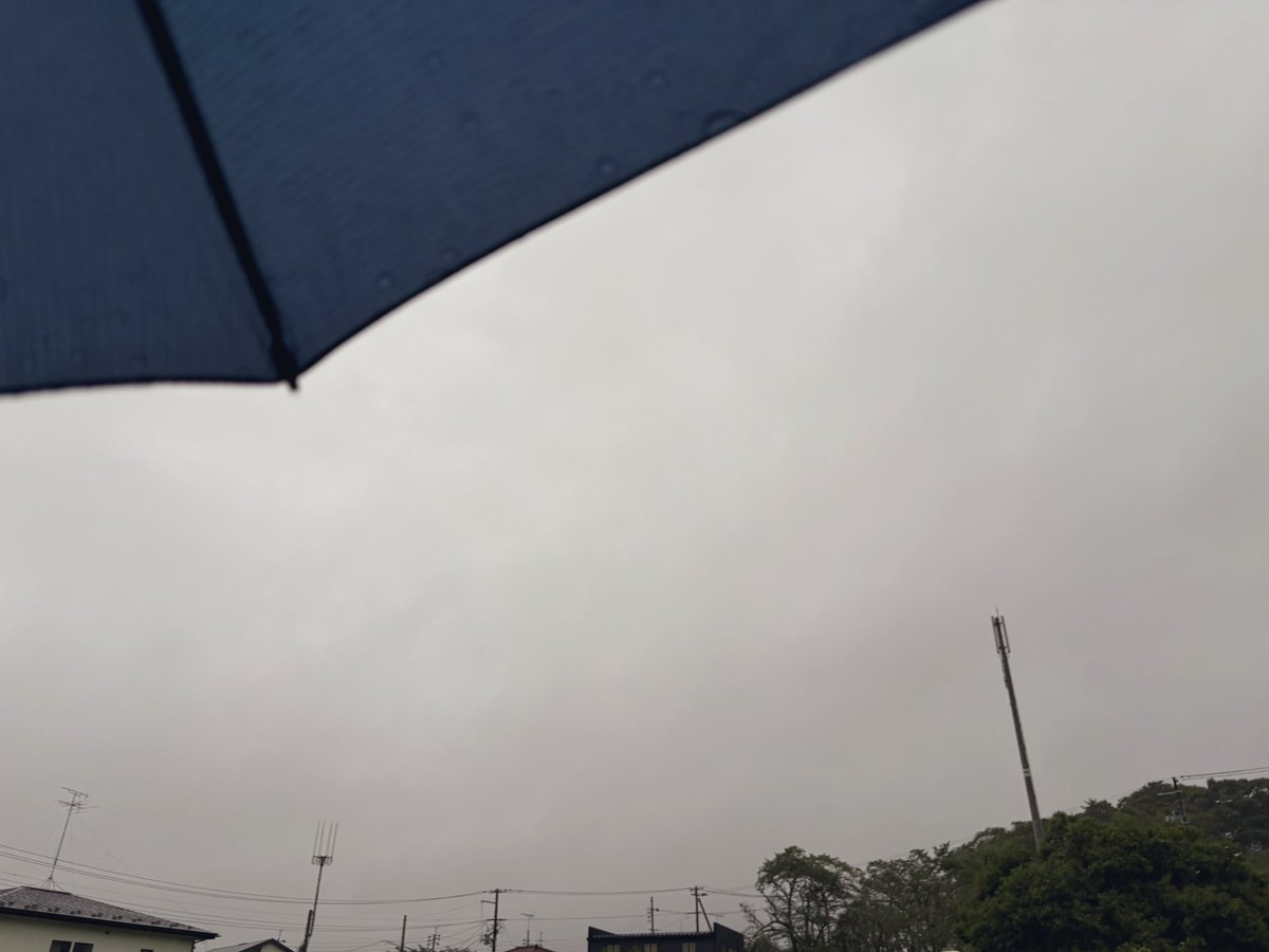 おはようございます😊🏡🌱
木曜日〰️#朝散歩🚶‍♀️♪
歩き出し10分後 突然の大雨🌨️➰💦🏃‍➡️☔️退散‼︎

皆様も急な雷雨や突風には気をつけて!安全第一の行動を⛑️🛡️
今日も穏やかで良い一日でありますように🤗🌸🍃

#朝空 #イマソラ #空ネット
#シェア天 #二本松市 #花風景
#夏すいせん🩷