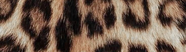 she_was_blooms's tweet image. 