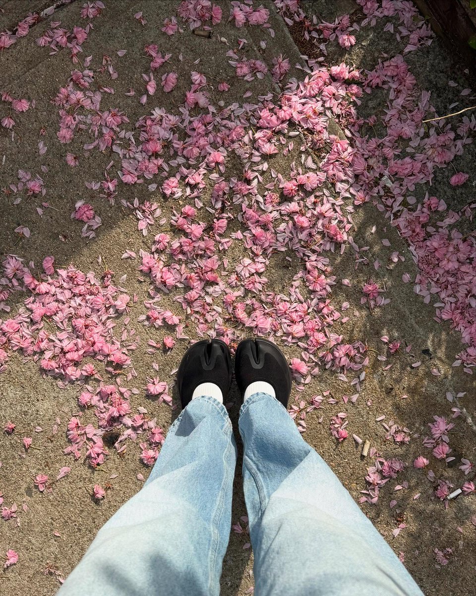 Belle_Is33's tweet image. 💗🌸💥
•
•
•
#springdump #cuteaesthetic #springaesthetic #pinkasthetic #magnolias