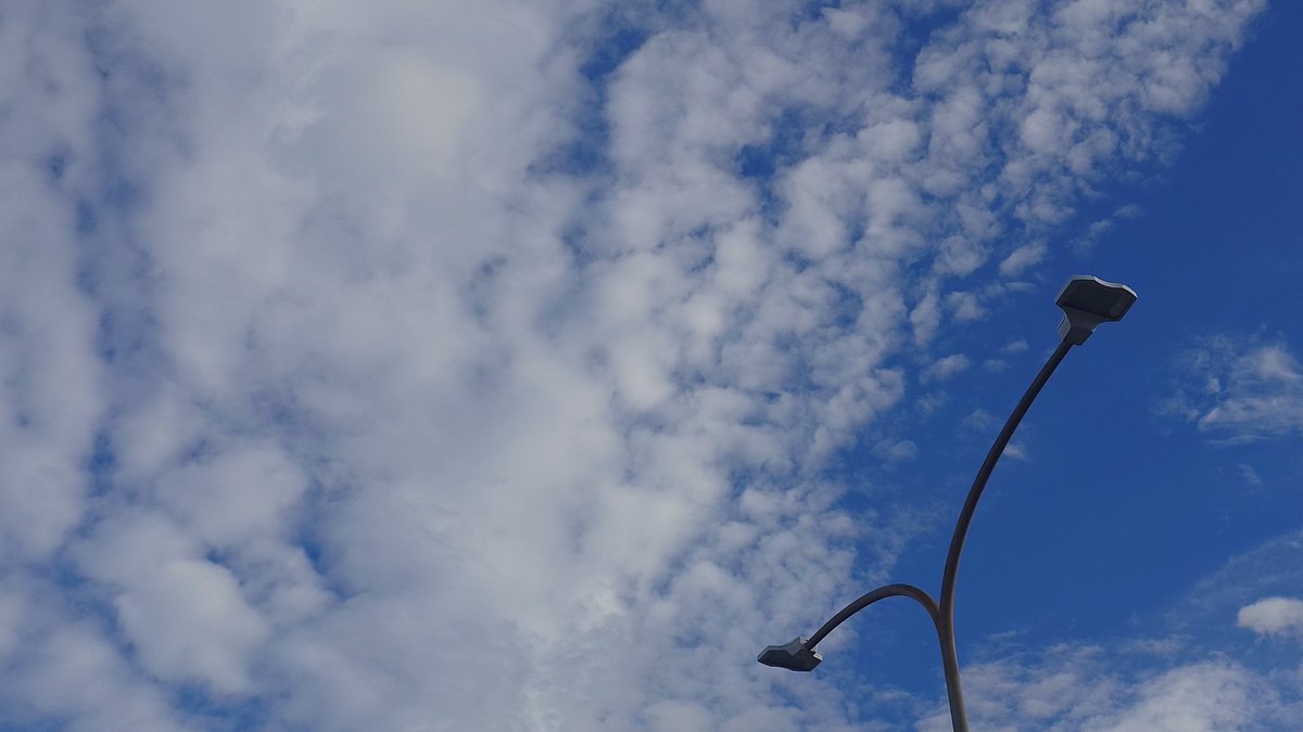 秋色の空はまだですか…
（今朝はちょっと涼しいです）