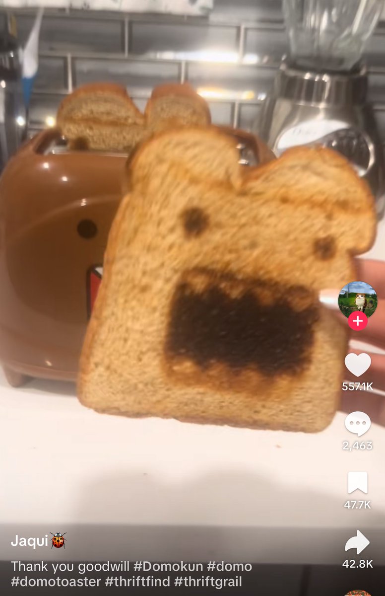 DOMO tweet media