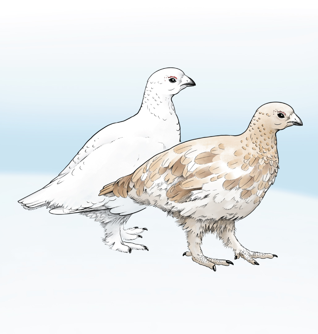 Fiona Martin tweet media