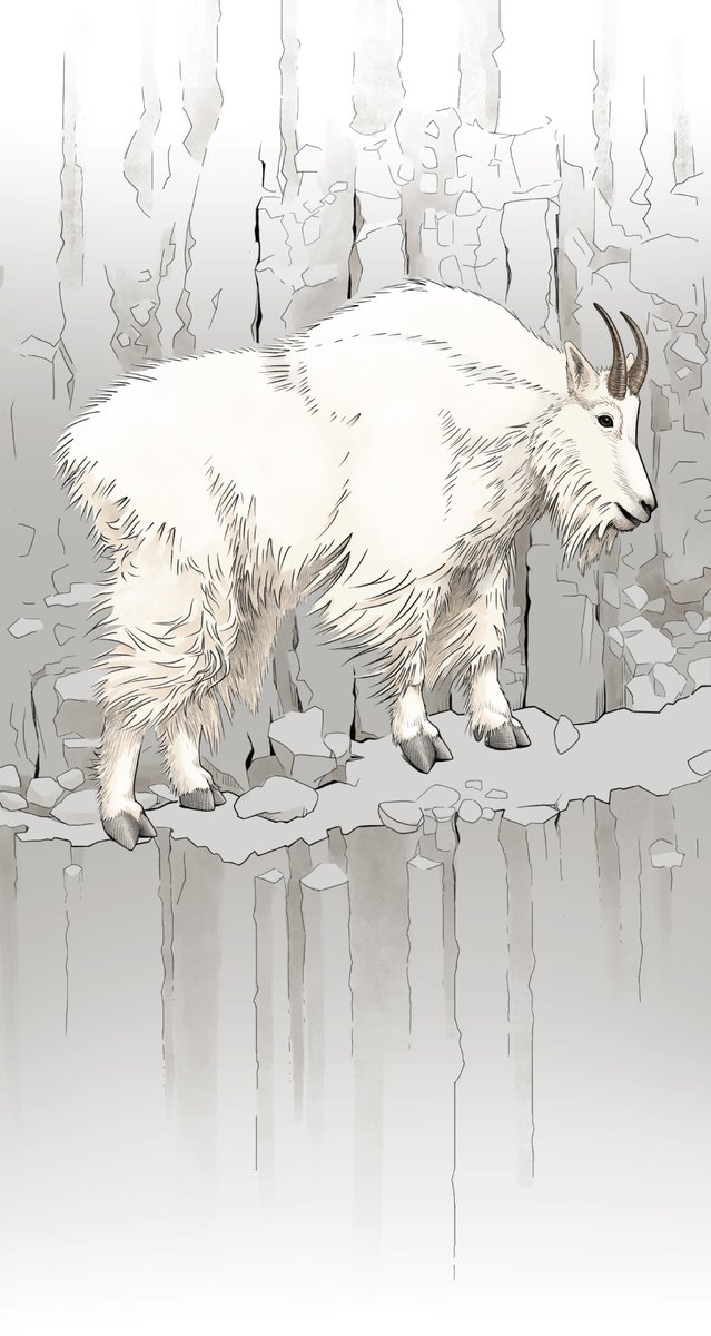 Fiona Martin tweet media