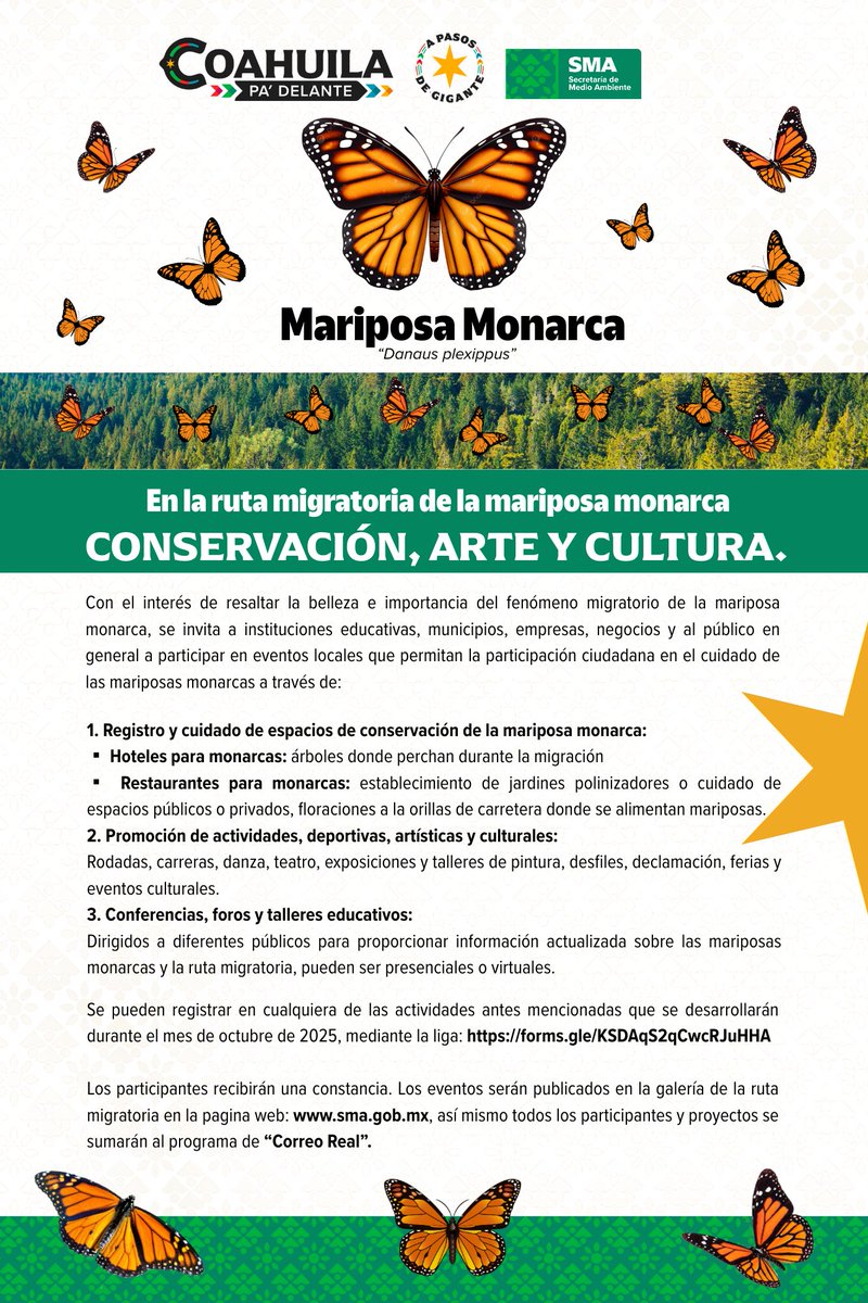 🦋✨ ¡La mariposa monarca ya está en Coahuila!
Te invitamos a participar en las actividades del Mes de la Mariposa Monarca, un espacio para conocer, valorar y proteger a esta especie

#mesdelamonarca #coahuilapadelante #apasosdegigante