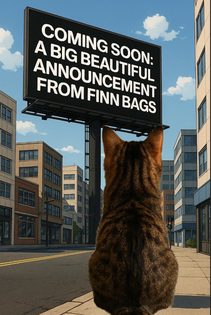 <a href="/FinnOnBagsApp/">$FINN on Bags</a> <a href="/finnbags/">FINN</a> Interesting timing after we announce that have the LilBub IP, the owner on board, and the royalties claimed. 

It’s almost like you’ve timed your announcement with ours! 

BpqCd6Vwwos48ezJpwFjpLDZXcaP6VNEPS7tpKFvBAGS