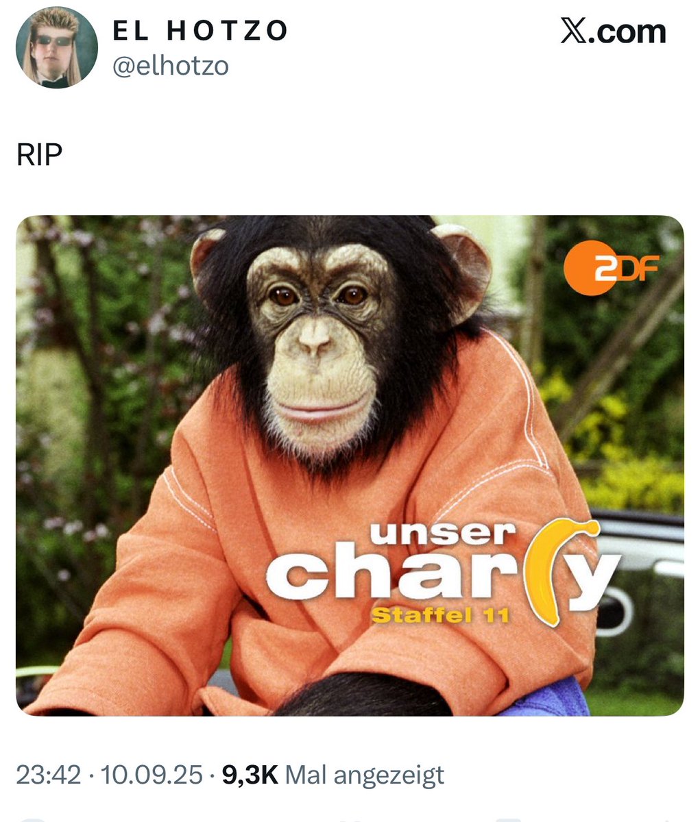 thomas woelfer tweet media