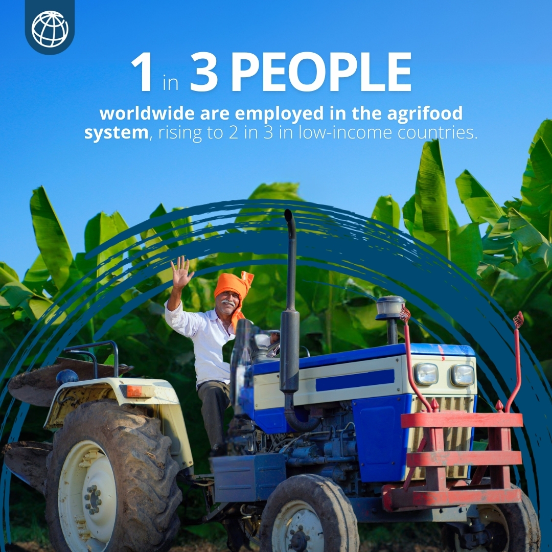 🚜 The agrifood system is key to the global #jobs agenda, employing 1/3 of the world’s workforce—2/3 in low-income countries.

Discover how the <a href="/WorldBank/">World Bank</a> is helping to create more and better jobs: wrld.bg/XCYQ50WUJit