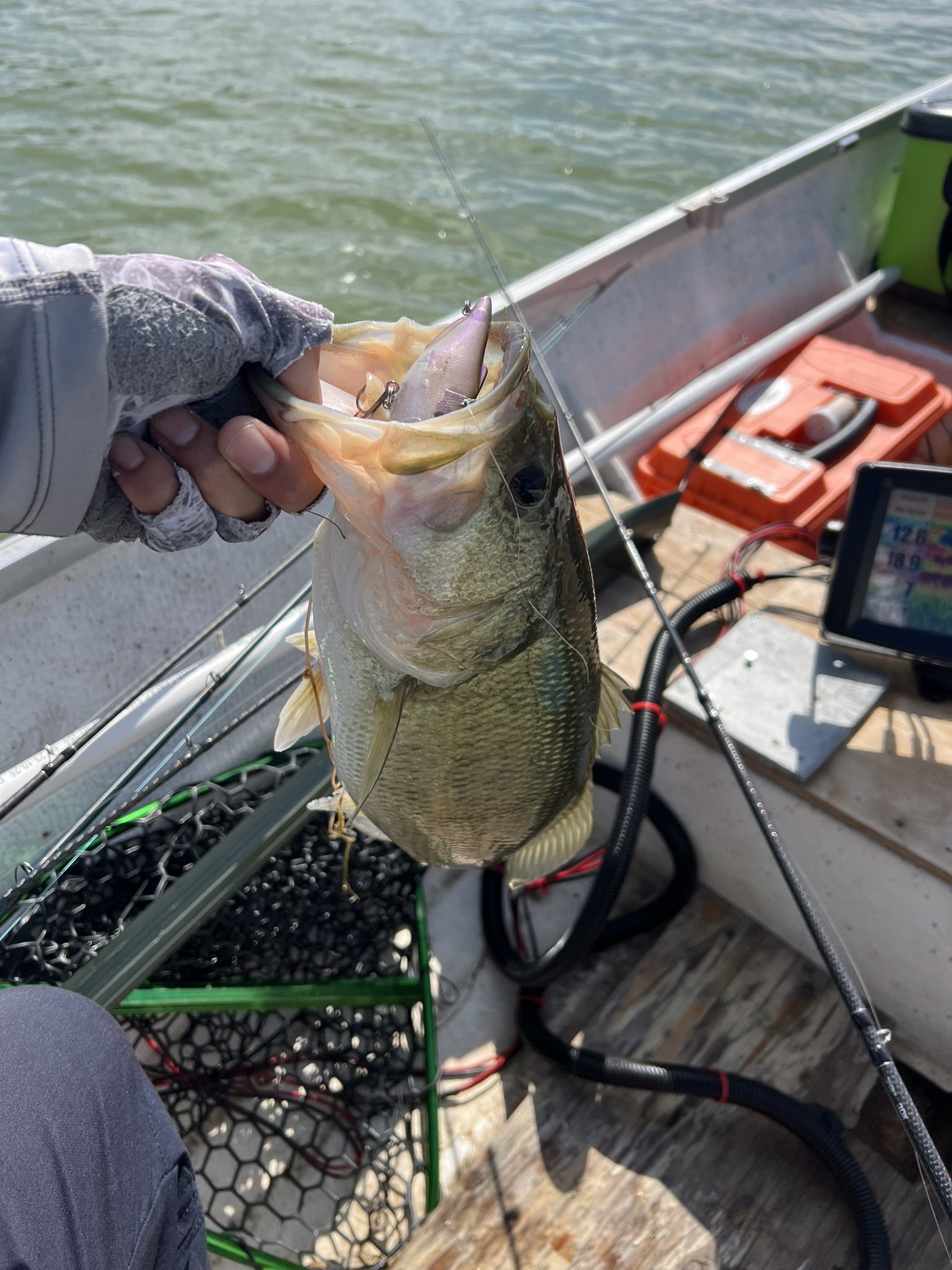 masa_kawashima_fishing_at_ca (@fishingatcanada) / X