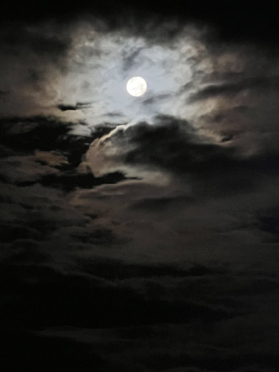 Vos elegis.  ¿Querés ser piloto o pasajero?