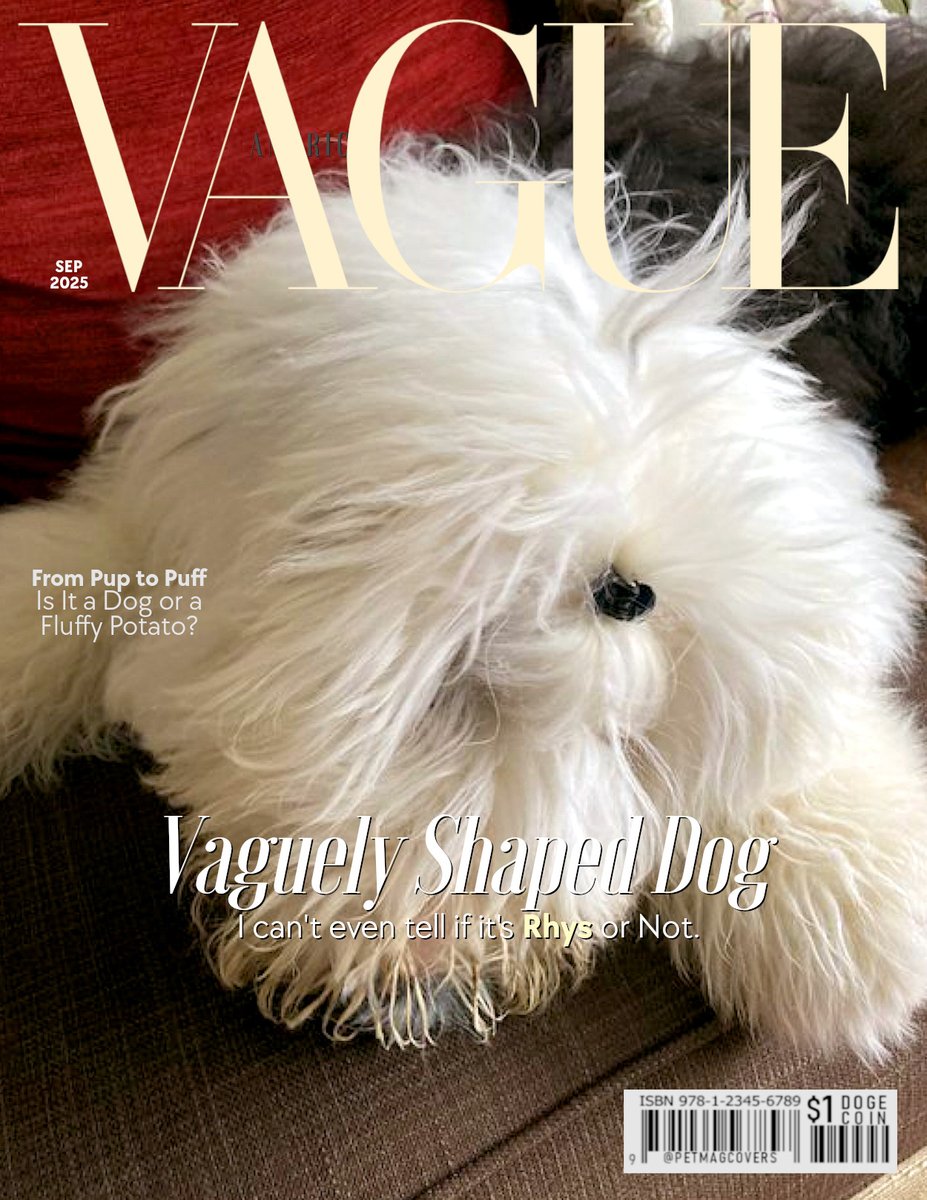RHYS ( <a href="/caniscausa/">Rhys and 🌈Harry 🇺🇦🌻</a>  ) On the cover of VAGUE Magazine.

VAGUE is like VOGUE... but we aren't quite sure about it.   #VOGUE #Magazine #Cover #Pets #Dogs