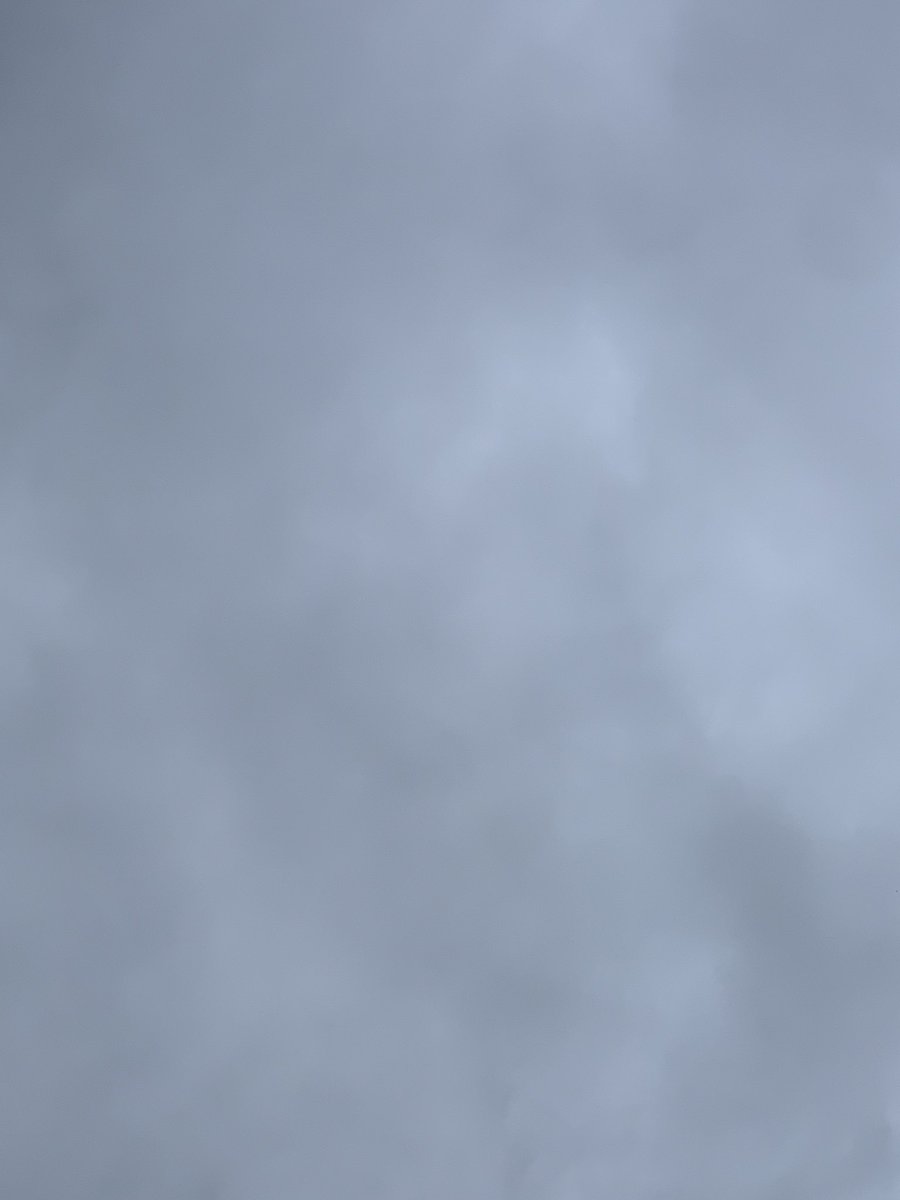 おはふぁぶ(*´꒳`*)ﾉ🐰

11日(木) 三条市 ☂→☁/最高30℃

ヒンヤリとした朝、雨で湿度は高そう
ベタベタした感じがしてイヤに
なっちゃう(  ‾᷄꒫‾᷅ )

本日ものびのびと٩(ˊᗜˋ*)و
#企業公式が毎朝地元の天気を言い合う