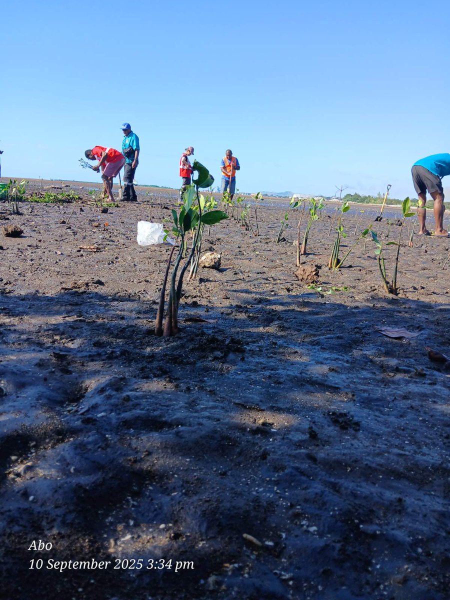 Ministry of Forestry tweet media