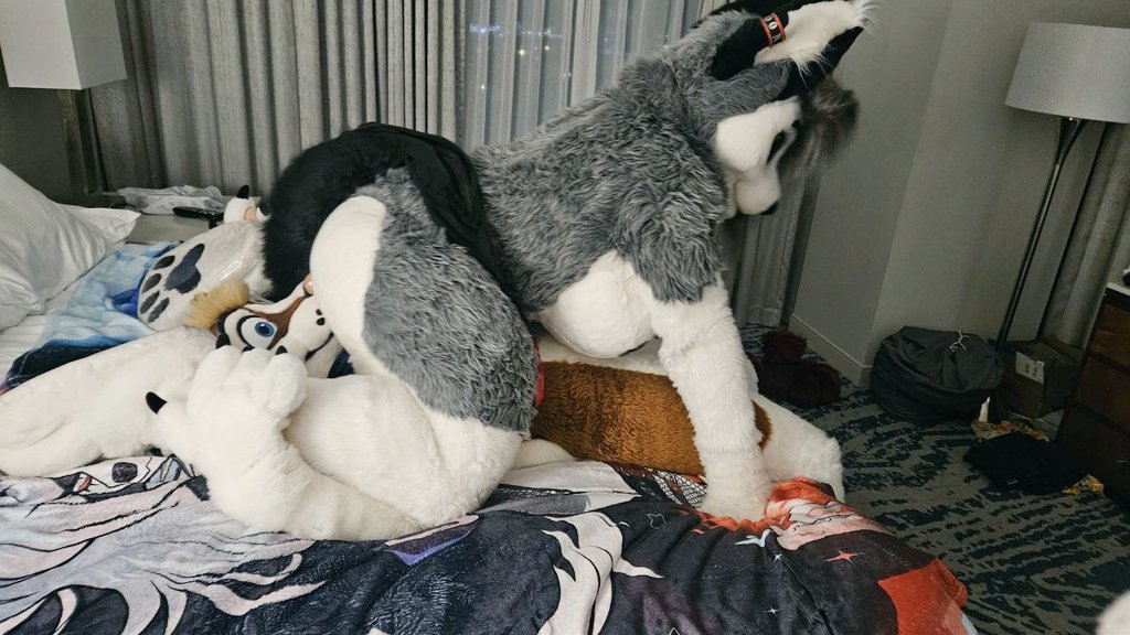 Good huskies should be sat on 😈