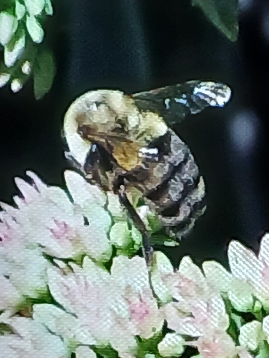 Rachel Hayward (@ralrachel) on Twitter photo 