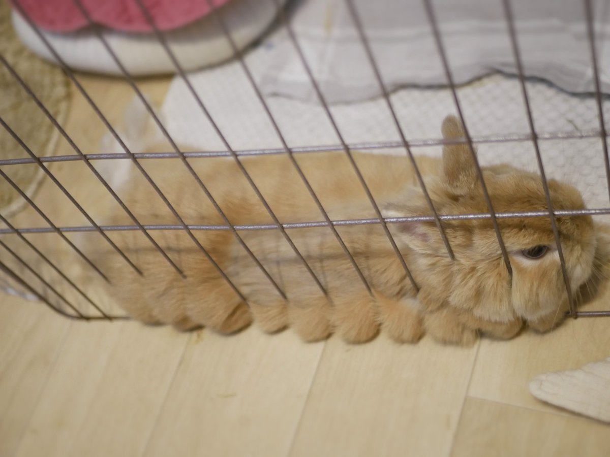 そっかくんへんだよ…😑