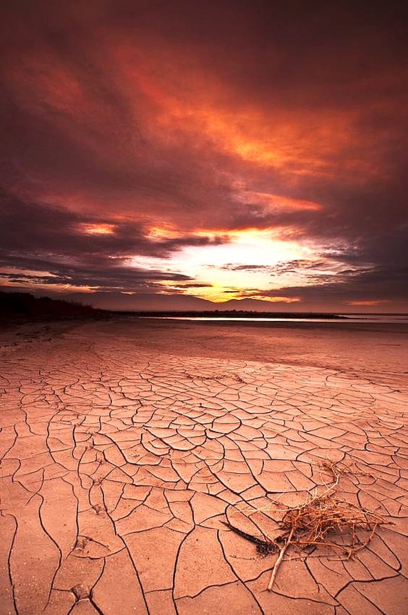 J. Garcia (@jj20439717) on Twitter photo 