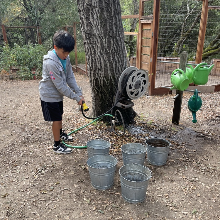 Bobcats are really enjoying Mission Springs this week! #ehmsbobcats