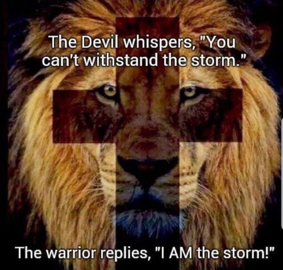 Just Sayin’ 🇺🇲 ✝️ ❤️ tweet media