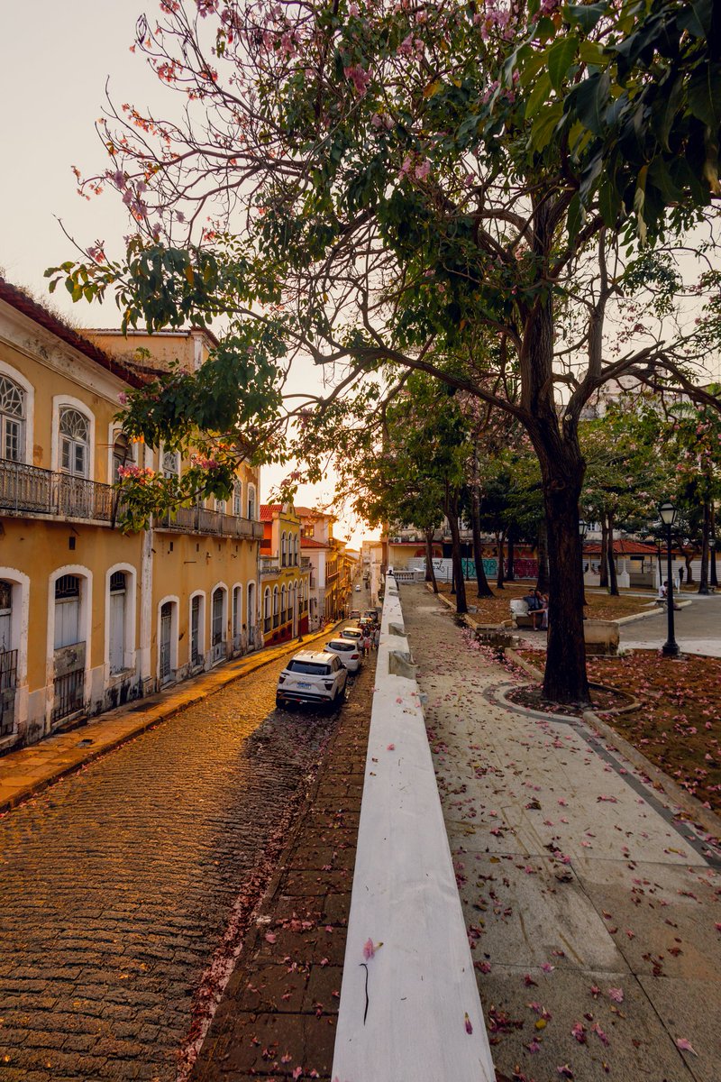 caos1nfinito's tweet photo. Setembro tem um filtro de iluminação diferente em São Luís, parece que as cores ficam mais suaves e vibrantes, e eu amo isso. É minha época do ano favorita pra fazer foto de rua. 🌿 https://t.co/tIOqzHCgpO