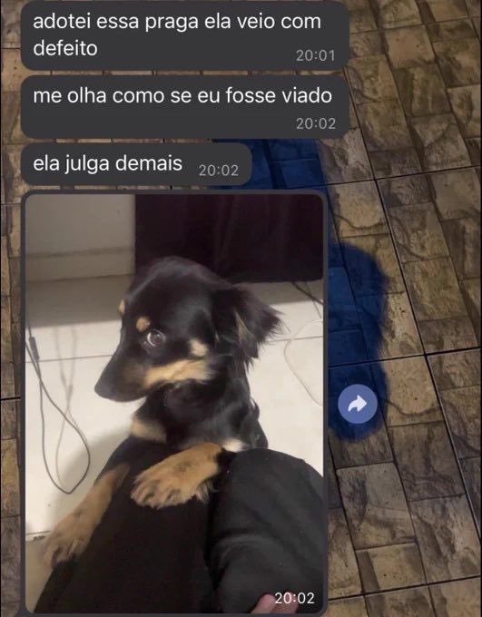 5gramasdememes's tweet photo. 🎯 https://t.co/N1YFqiD1TA