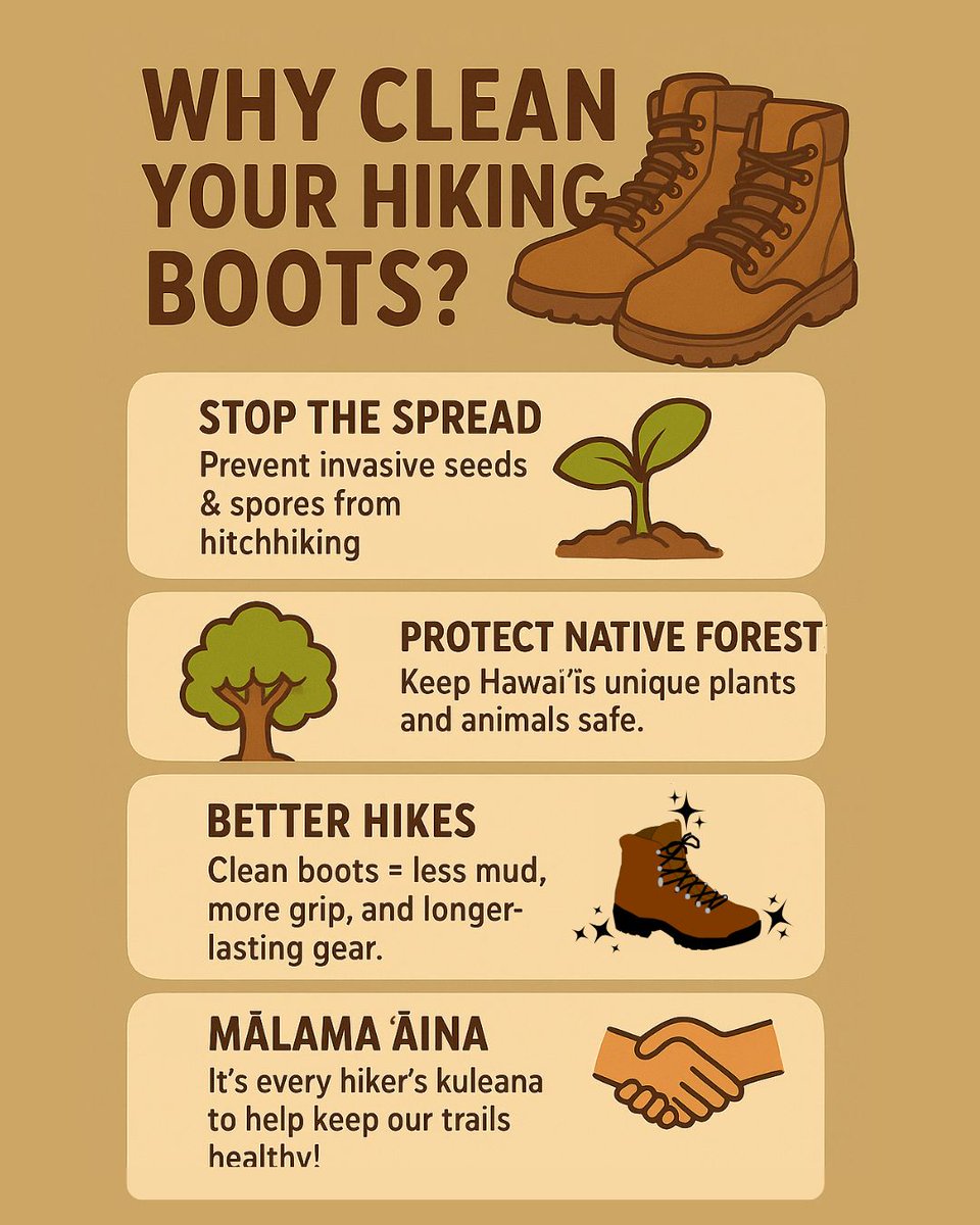 OahuISC's tweet image. 👀 Even tiny seeds or spores stuck in the mud can spread to new trails. Cleaning your boots = protecting Hawaiʻi’s forests.

#PlayCleanGo #Decon #BootCare #OahuHikes #HikeHawaii #ProtectOurForests