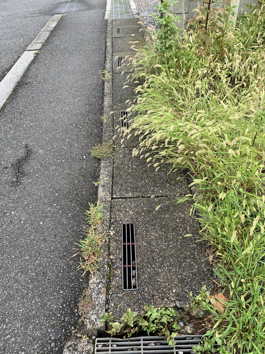 両親の実家が埼玉県にある自分が、埼玉県の郊外を訪ねた時に感じる漠然とした「埼玉」感、どこから来てるんだろう？錆びた標識とガードレール？一軒家主体なのに全体的にハゲ（緑や畑がなくて空き地か駐車場）なところ？とか思ったんだけど、道の脇の排水口かもしれない。これとか最高に埼玉を感じる。