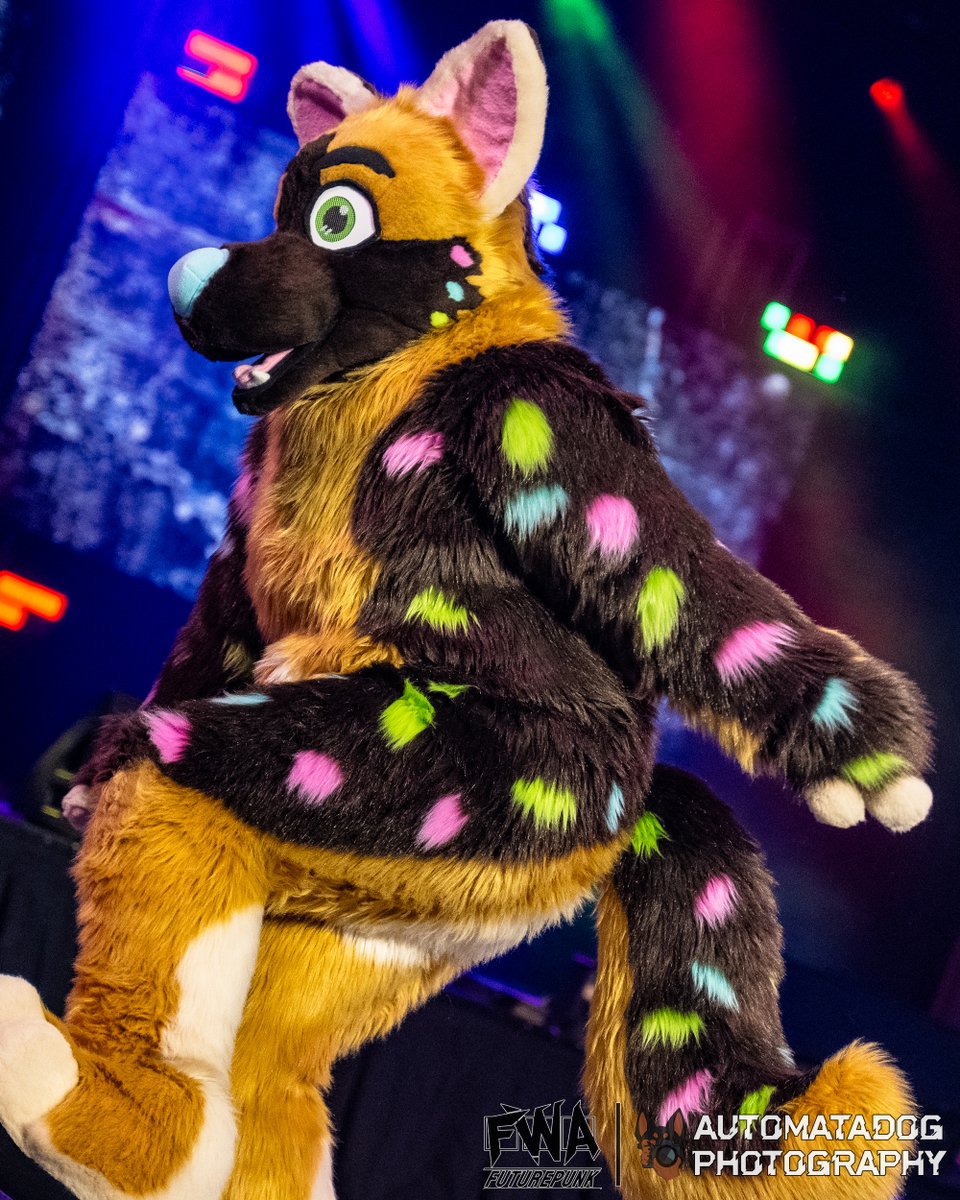 Glaze during the fursuit dance competition at FWA25

🐕: <a href="/ScarletJanefox/">ScarletJanefox.bsky.social</a>
🪡: <a href="/FoxesBoxesSuits/">Foxes in Boxes Fursuits (FoxesinBoxes.bsky.social)</a> 

#Furry #Fursuit #FWA
