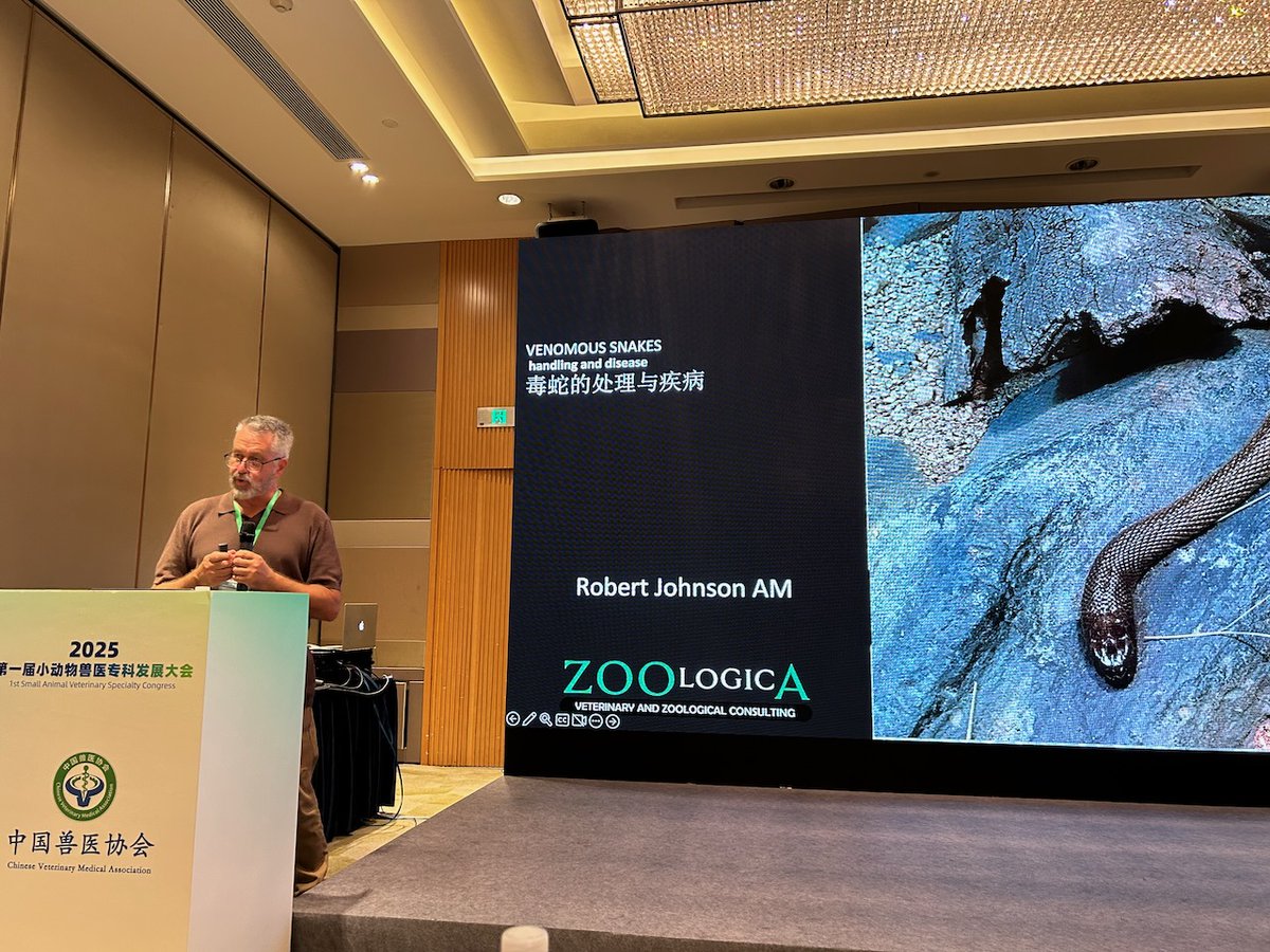 VetGurus tweet media