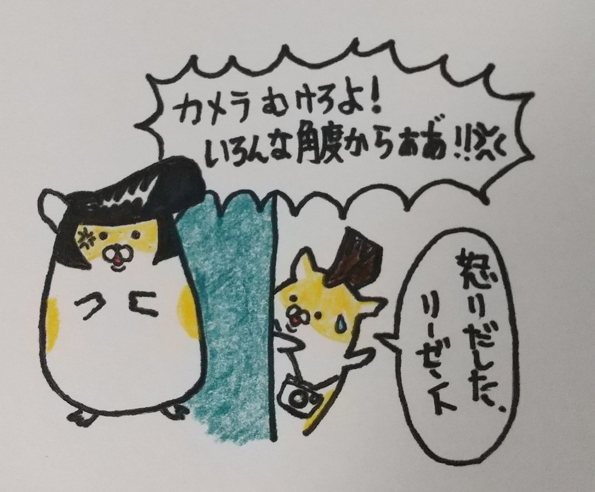 マリモ様　専 マリモ🐥🦭 (@marimo20240724) / X