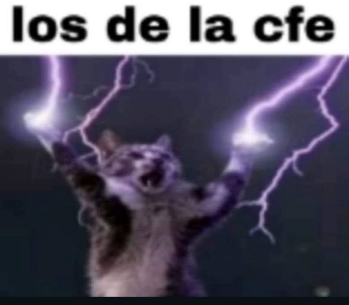 RubyRoseSSB's tweet image. Ya tengo un resultado. A que hora me ficha un equipo 😍