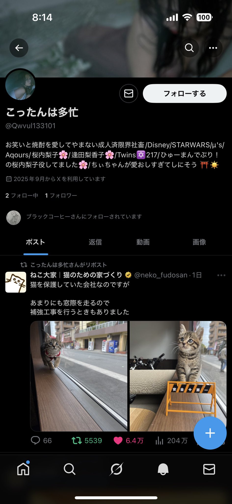 こったんは多忙 on X: 