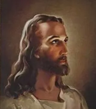 neilfanderson's tweet image. Charlie is at home now.